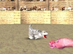 Screenshots Monster Rancher 