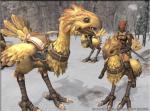 Screenshots Final Fantasy XI 