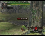 Screenshots Monster Hunter Les herbes servent à crafter des potions