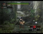 Screenshots Monster Hunter Forêt