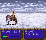 Screenshots Farland Story: Habou no Mai 