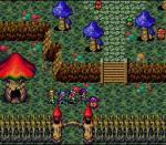 Screenshots Magna Braban: Henreki no Yuusha La ville des champignons