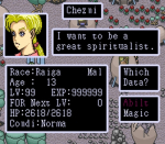 Screenshots Paladin's Quest 