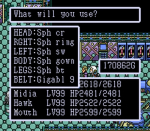 Screenshots Paladin's Quest 