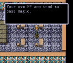Screenshots Paladin's Quest 