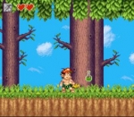 Screenshots Super Adventure Island II 