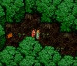 Screenshots Wondrous Magic 