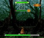 Screenshots Wondrous Magic 