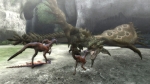 Screenshots Monster Hunter 3 tri- 