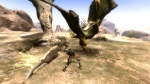 Screenshots Monster Hunter 3 tri- 
