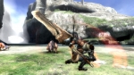 Screenshots Monster Hunter 3 tri- 