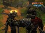 Screenshots Overlord: Dark Legend 
