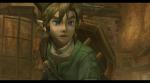 The Legend of Zelda: Twilight Princess