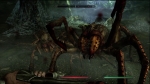 Screenshots The Elder Scrolls V: Skyrim 
