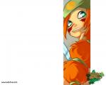 Wallpapers Dofus