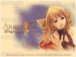Wallpapers Narsillion ~Another Story~