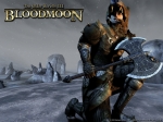 Wallpapers The Elder Scrolls III: Bloodmoon