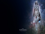 Wallpapers The Witcher