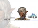 Wallpapers Final Fantasy XI