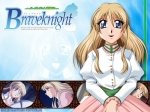 Wallpapers Braveknight
