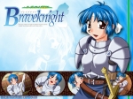 Wallpapers Braveknight