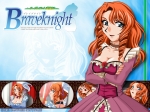 Wallpapers Braveknight