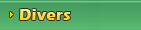 divers